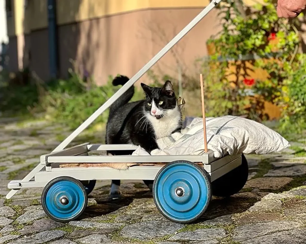 31DD37D9-DE56-477F-AB09-86DA493FCB4C Kopie